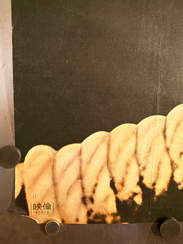 "The Confession (告白)", Original Release Japanese Movie Poster 1971, B2 Size (51 x 73 cm) N131