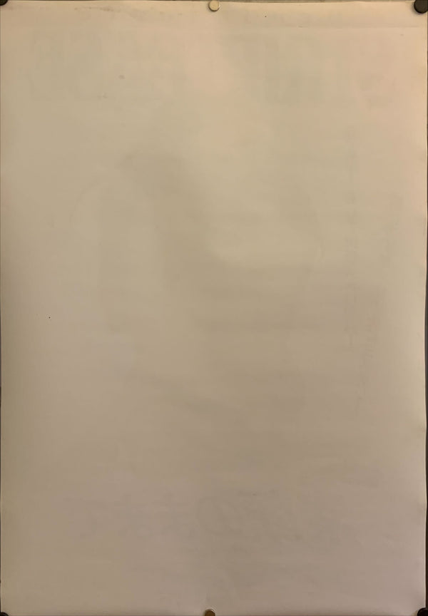 "Striptease", Original Release Japanese Movie Poster 1996, B2 Size (51 x 73cm) F184