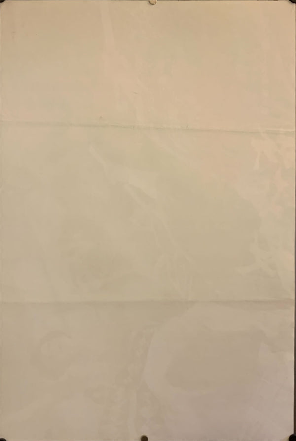 "Zatoichi in Desperation", Original Release Japanese Movie Poster 1972, B2 Size (51 x 73cm) F190