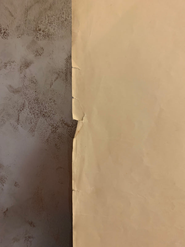 "Birds", Original Release Japanese Movie Poster 1963, B2 Size (51 x 73cm) G121