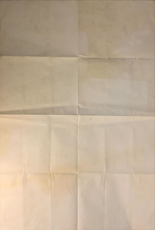 "Disney Festival - Peter Pan", Original Release Japanese Movie Poster 1975, King Size (180 x 120cm) BA22