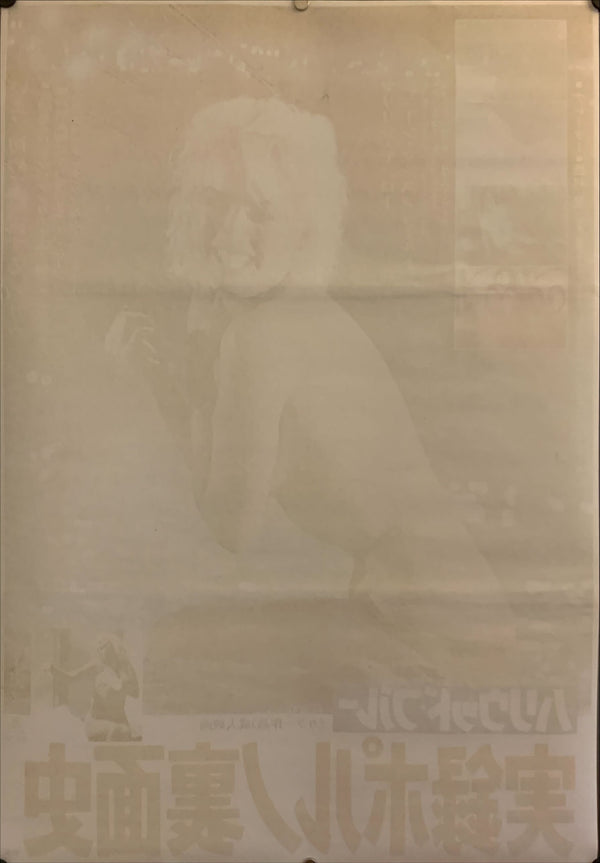 "Hollywood Blue", Original Release Japanese Movie Poster 1973, B2 Size (51 x 73cm) G200