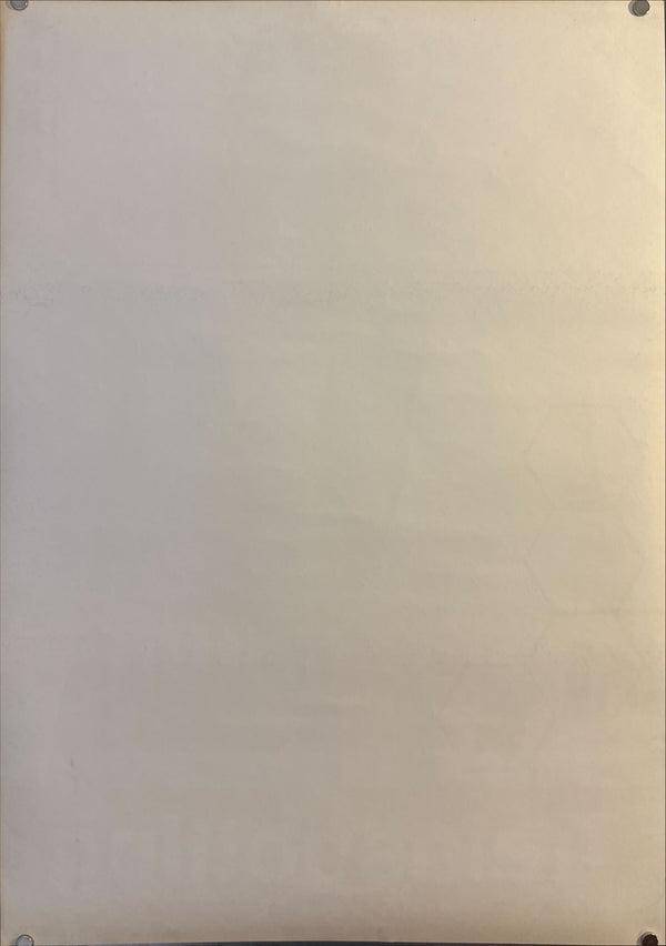 "Trainspotting", Original Release Japanese Movie Poster 1996, B2 Size (51 x 73cm) I135