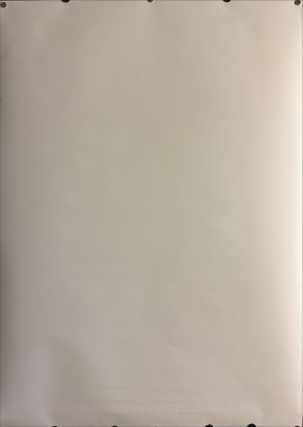 “Your Name.” (君の名は。), Original Japanese Promotional Exhibition Poster 2017, B1 Size (c. 72.8 × 103 cm)