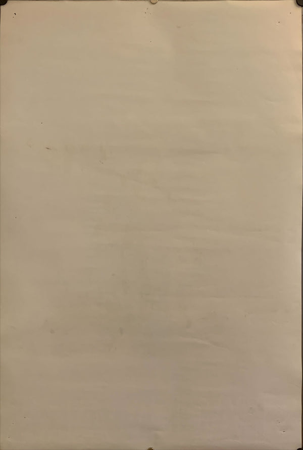 "Flesh Gordon", Original Release Japanese Movie Poster 1974, B2 Size (51 x 73cm) H48