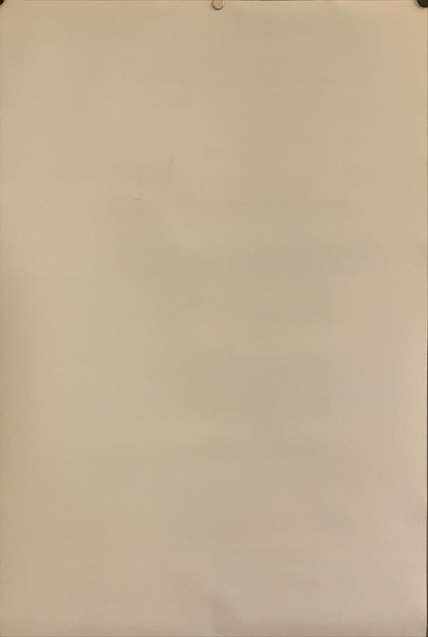 "Neon Genesis: Evangelion", Original Japanese Poster 1996, B2 Size (51 x 73cm) H63