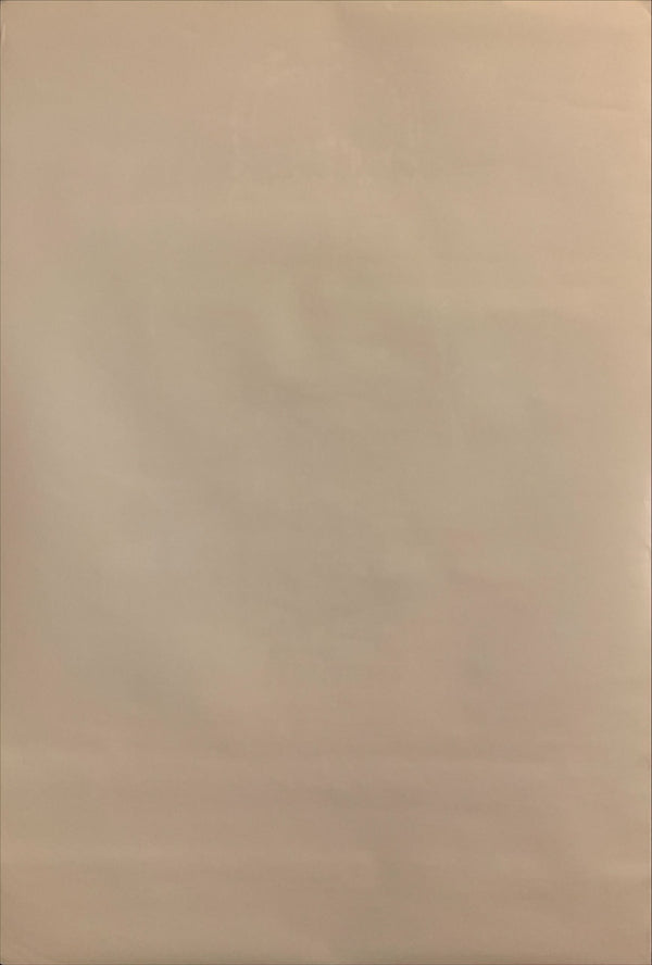 "Star Wars: Empire Strikes Back", Original Re-Release Special Edition Japanese Movie Poster 1997, B2 Size (51 x 73cm) H84