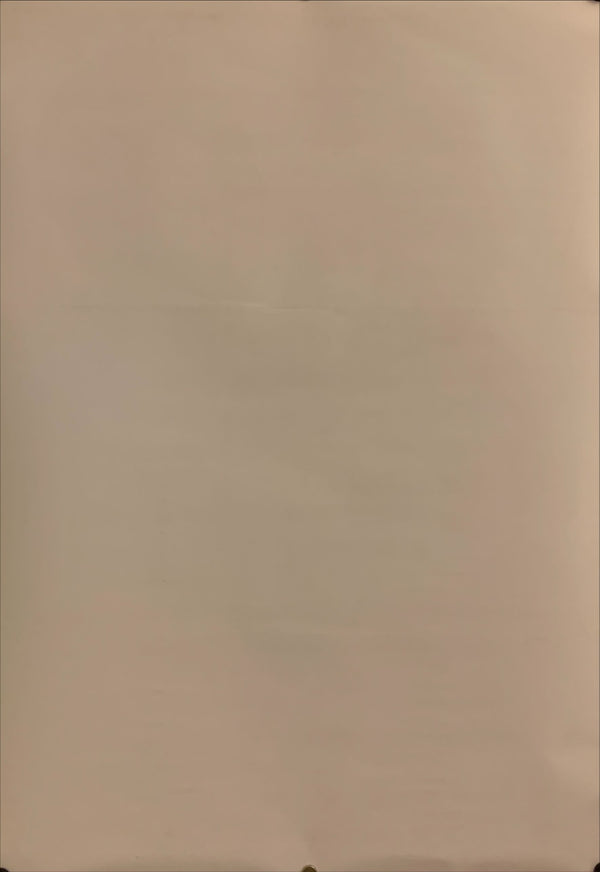 "City of Men", Original Release Japanese Movie Poster 2007, B2 Size (51 x 73cm) H107