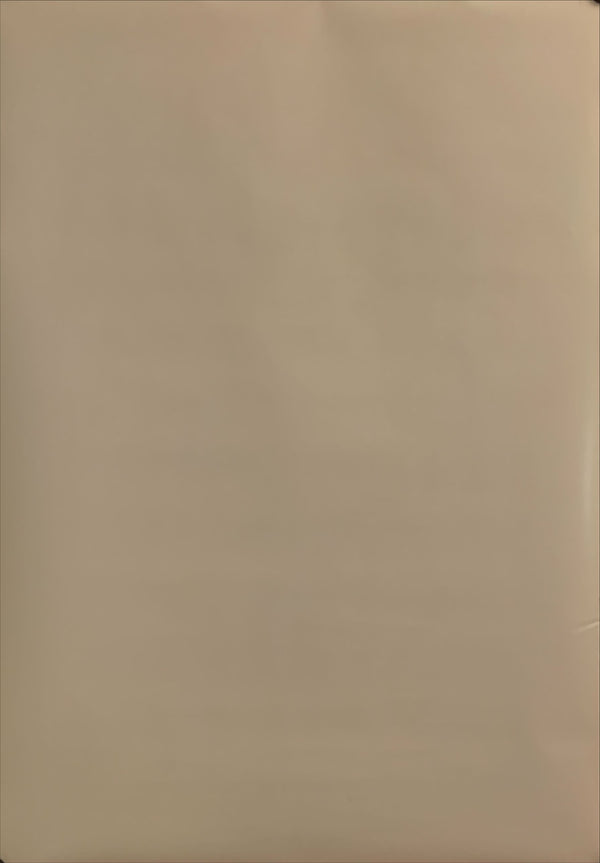 "Exit Through the Gift Shop", Original Release Japanese Movie Poster 2010, B2 Size (51 x 73cm) H130