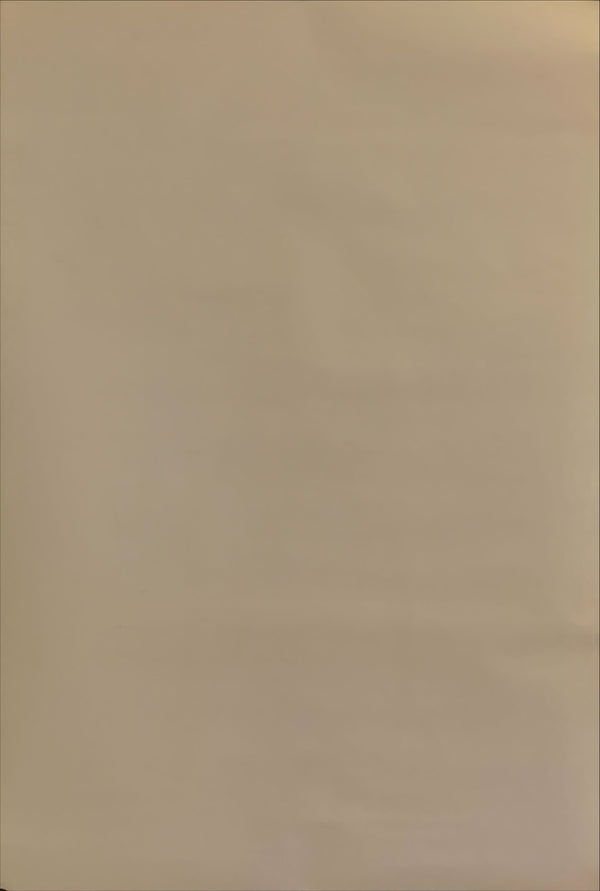 "Braindead", Original Release Japanese Movie Poster 1992, B2 Size (51 x 73cm) H143