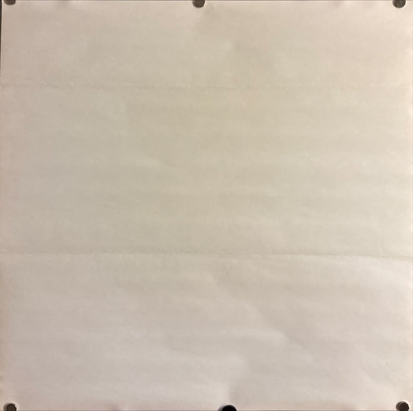 “Go Fish” (GO fish / ゴー・フィッシュ), Original Japanese Square Release Poster 1995, 51.5 × 51.5 cm ZA517