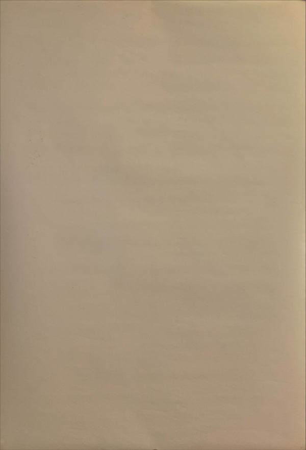 "Space Pirate Captain Harlock: Arcadia of My Youth", Original Release Japanese Movie Poster 1988, B2 Size (51 x 73cm) H154