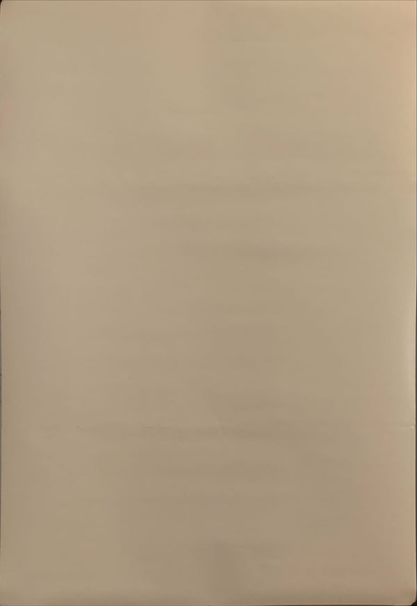 "Dawn of the Dead", Original Japanese Movie Poster 2004, B2 Size (51 x 73cm) H160