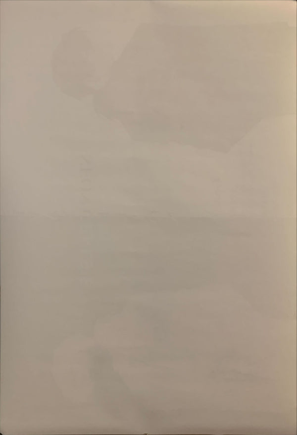 "Neon Genesis: Evangelion", Original Japanese Poster 1990`s, King Records, B2 Size (51 x 73cm) H168