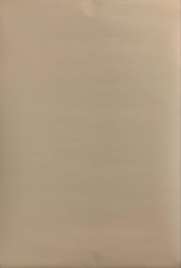 "Neon Genesis Evangelion: Death & Rebirth", Original Release Japanese Movie Poster 1997, B2 Size (51 x 73cm) H173