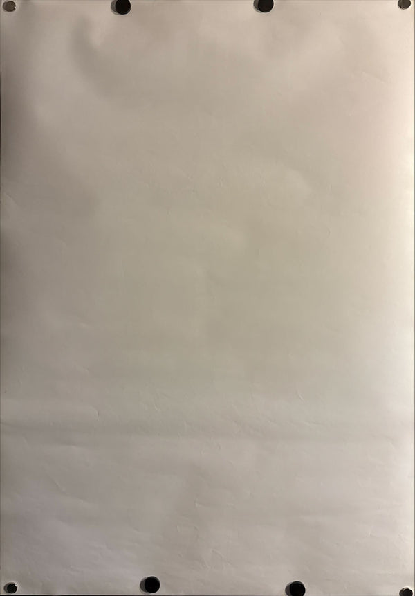 "One Piece: Cursed Holy Sword" (ワンピース 呪われた聖剣), Original Japanese Movie Poster 2004, B2 Size (51 × 73 cm) N212