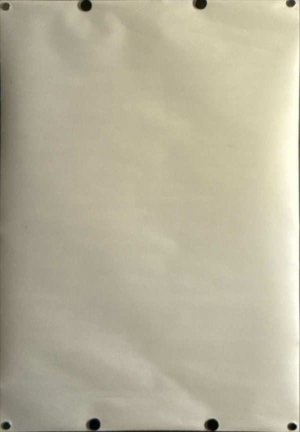 "One Piece: The Movie" (ワンピース) & "Digimon Adventure: Our War Game!" (デジモンアドベンチャー ぼくらのウォーゲーム!), Original Japanese Movie Poster 2000, B2 Size (51 × 73 cm) N215