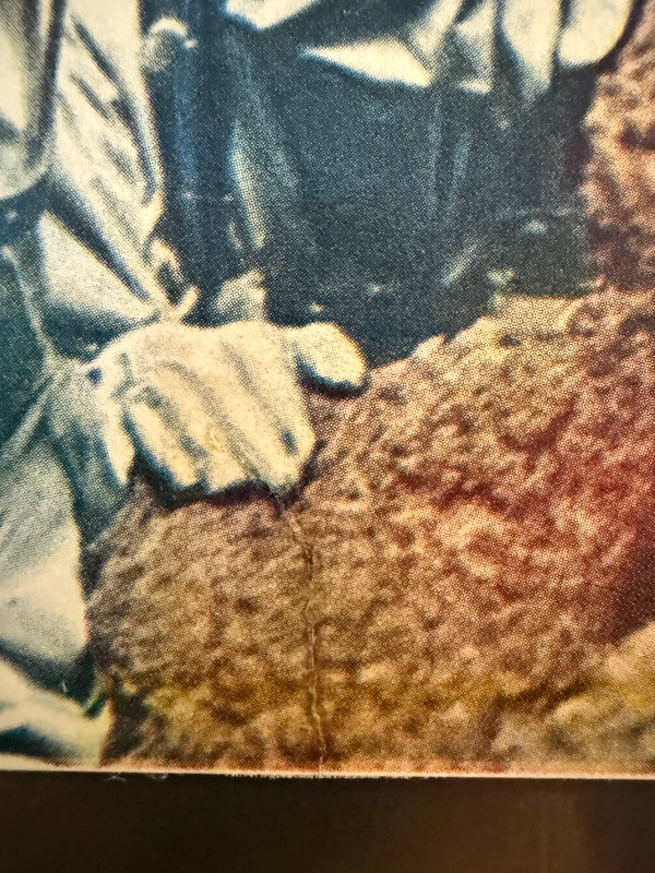 “Mothra” (モスラ), Ultra‑Rare Original Japanese First‑Release Chihōban B2 Poster, 1961 Japanese Debut of Mothra, Ultra Rare — B2 Size (approx. 51 × 73 cm)