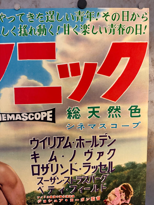 "Picnic", Original Release Japanese Movie Poster 1956, Very Rare, B2 Size (51 × 73 cm) N247