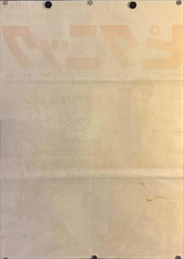 "Picnic", Original Release Japanese Movie Poster 1956, Very Rare, B2 Size (51 × 73 cm) N247