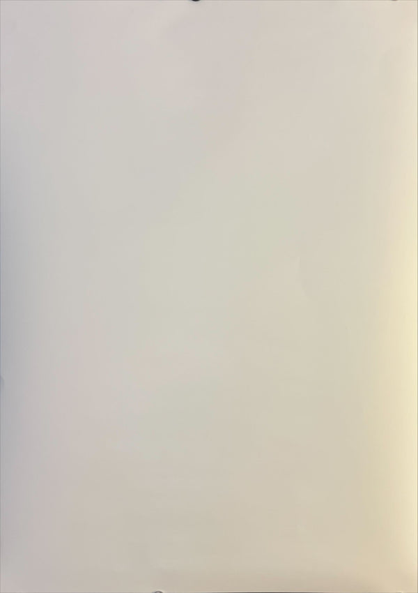 "Pom Poko", Original Release Japanese Movie Poster 1994, B2 Size (51 x 73cm) C144