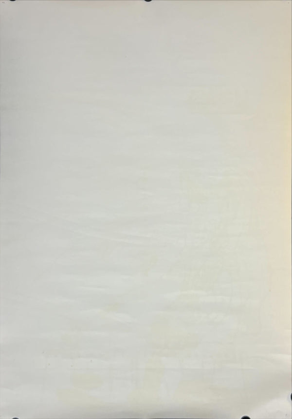 "Akira DVD Special Edition", Original DVD Release Japanese Movie Poster 2001, B2 Size (51 x 73cm) N139