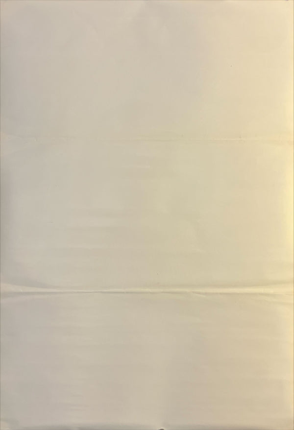 "Nirvana" (ニルヴァーナ), Original Japanese Movie Poster 1997, B2 Size (51 × 73 cm) N224