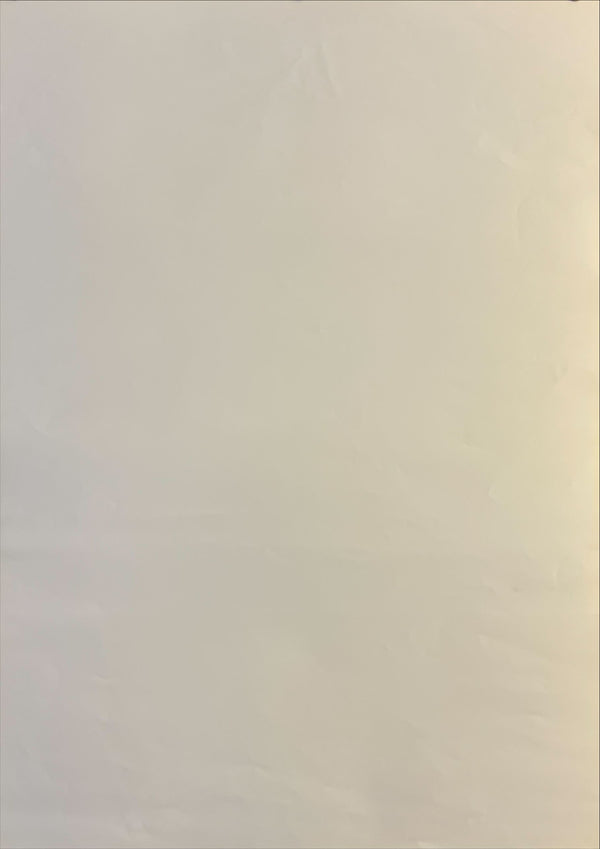 "Roman Holiday", Original Japanese Re-Release Poster 2003, B2 Size (51 x 73cm) N142