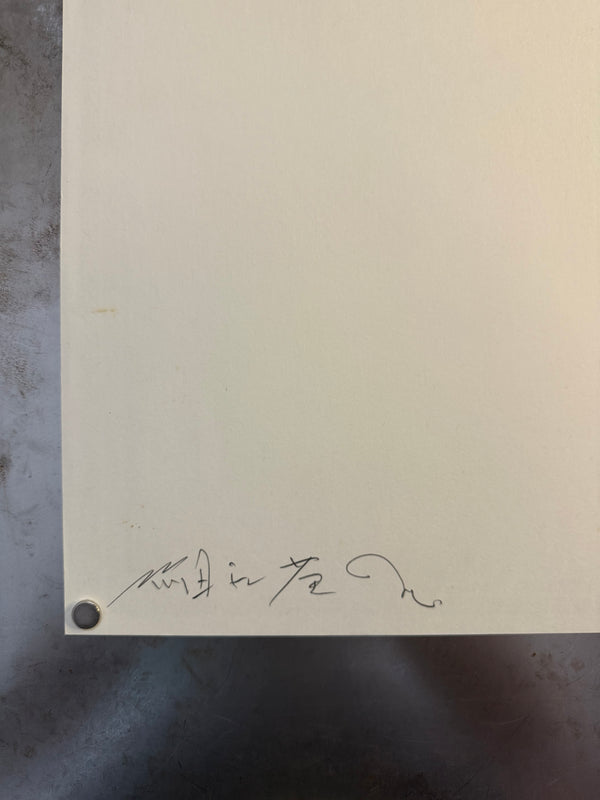 "TADANORI YOKOO - Hijikata and the Japanese", Japanese Contemporary Art Poster, Original Limited Edition Silk Screen 2007, Signed, Ultra Rare, Size (c.73 x 103cm)