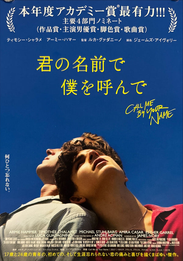 "Call Me by Your Name", Original Release Japanese Movie Poster 2017, B5 Size (18 x 25cm)