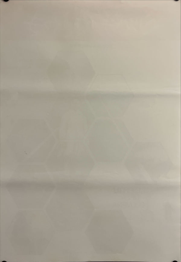 "The Spirit of the Beehive", Original Japanese Movie Poster 1985, B2 Size (51 x 73cm) I248