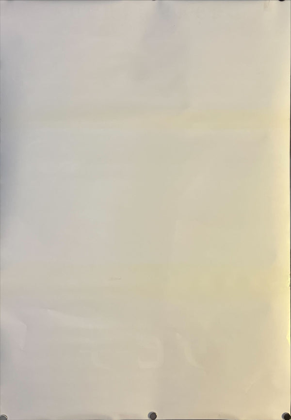 "The Beach (ザ・ビーチ)", Original Japanese Movie Poster 2000, First Release, B2 Size (51 × 73 cm) N183