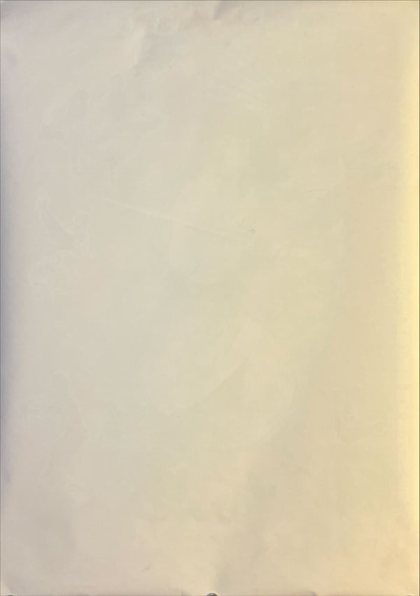 "The Young Master" (ヤング・マスター / 師弟出馬), Original Japanese Movie Poster 1980, B2 Size (51 × 73 cm) N228