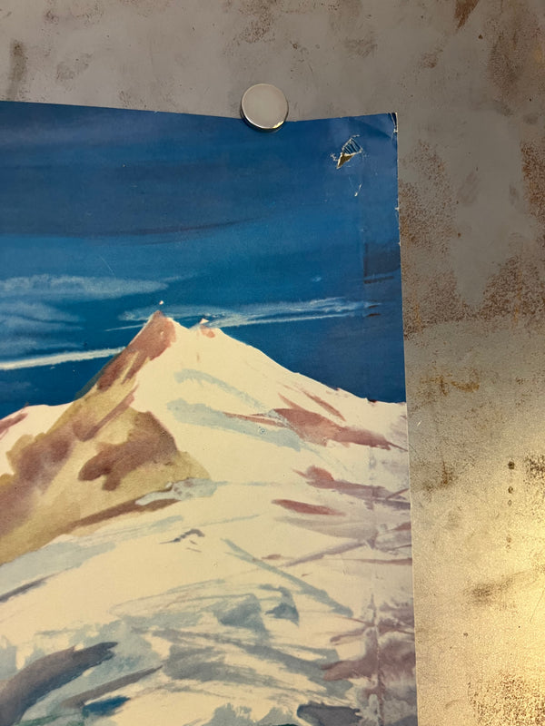 "The Mighty Peking Man", Original First Release Japanese Movie Poster 1977, B2 Size (51 x 73cm) N188