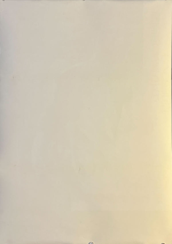 "The Two Jakes (黄昏のチャイナタウン)", Original Japanese Movie Poster 1990, First Release, B2 Size (51 × 73 cm) N187