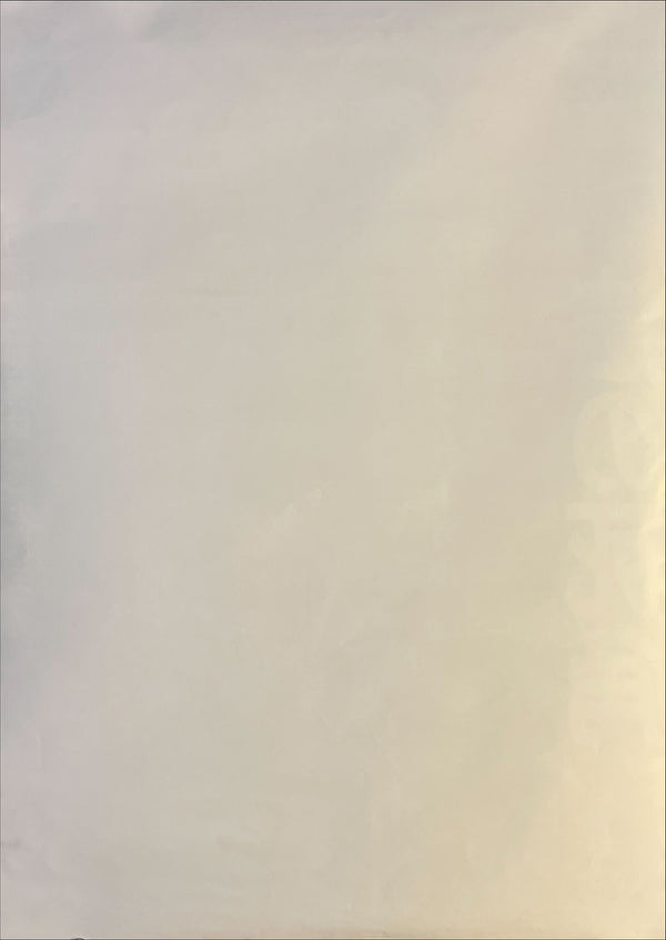 "Nico: Above the Law (刑事ニコ/法の死角)", Original Release Japanese Movie Poster 1988, B2 Size (51 x 73cm) N229