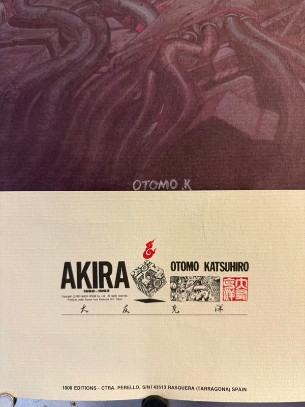 "Akira (1982-1993)", Original Spanish Promotional Poster 1993, Size (68 x 87cm)