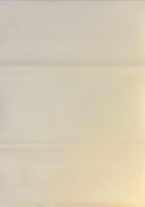 “The Puppet Masters” (ブレイン・スナッチャー 恐怖の洗脳生物), Original Japanese VHS Release Poster 1995, B2 Size (51 × 73 cm) O45