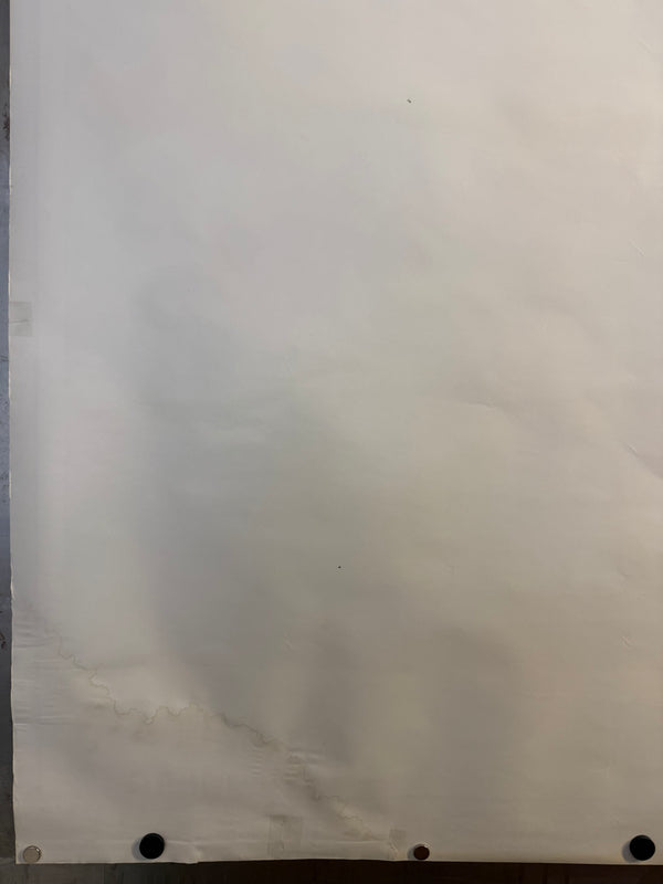 "Dungeons & Dragons: Shadow Over Mystara", Original Release Japanese CAPCOM Promotional Poster 1996, Extremely Rare, B1 Size (c.71 × 103 cm)