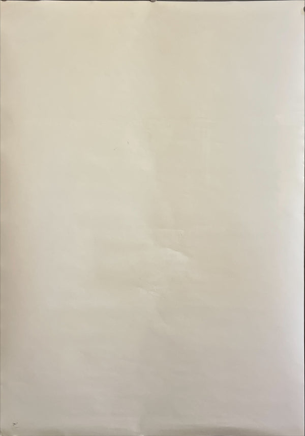 “Purple Rain” (プリンス/パープル・レイン), Original Release Japanese Movie Poster 1984, B2 Size (51 × 73 cm) ZA965