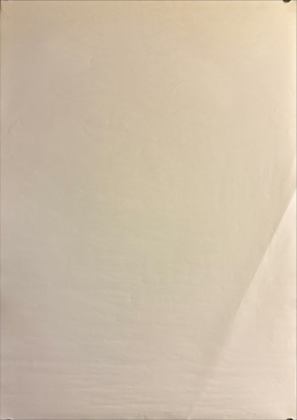 “Neon Genesis Evangelion: Death & Rebirth”, Original Release Japanese Movie Poster 1997, B2 Size (51 × 73 cm) Q93