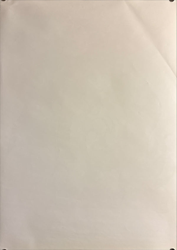 “Neon Genesis Evangelion — Misato & Asuka” (新世紀エヴァンゲリオン), Original Release Japanese Promotional Poster 1996, Rare, B2 Size (51 × 73 cm) O490
