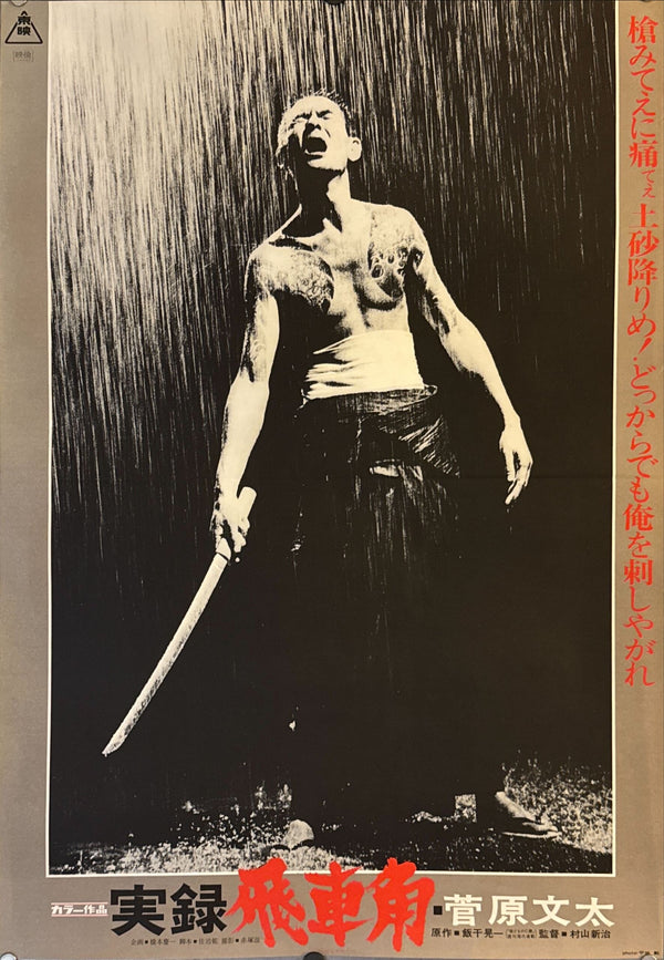 "True Account Of Hikashaku: A Wolf`s Honor", Original Release Movie Poster 1974, B2 Size (51 x 73cm) G118 A