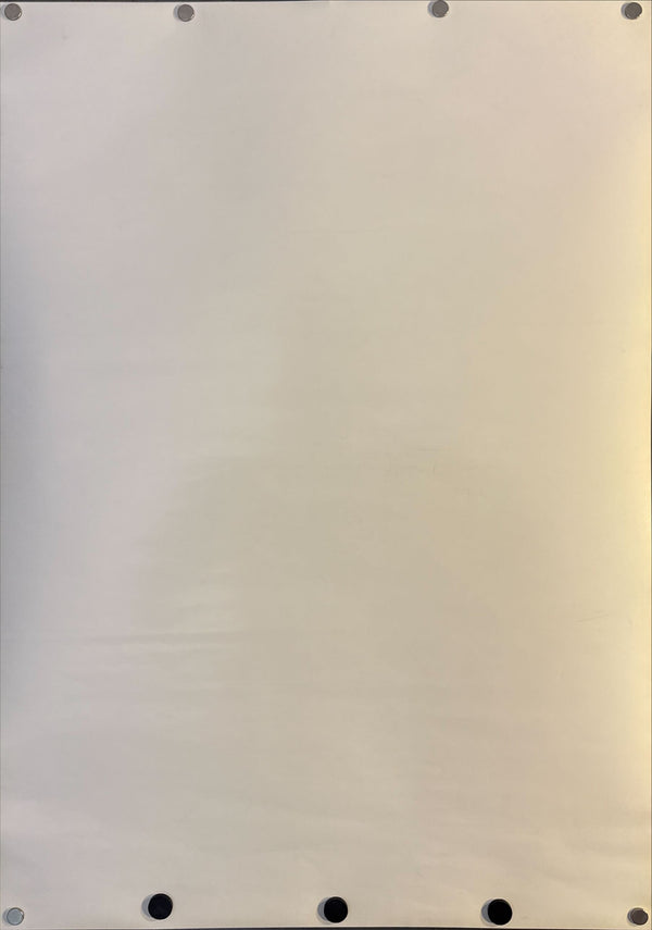 “Ichi the Killer” (殺し屋1 / Koroshiya Ichi), Original Release Japanese Movie Poster 2001, B2 Size (51 × 73 cm) (STYLE B) O73