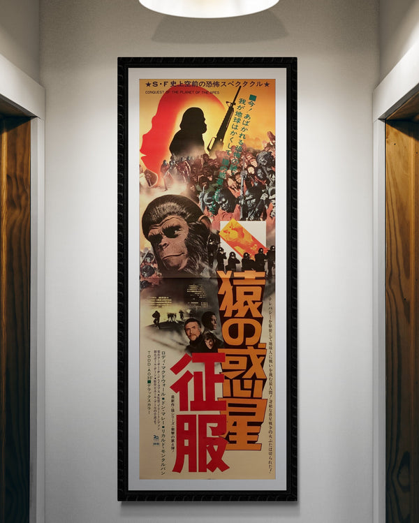 "Conquest of the Planet of the Apes", Original Release Japanese Movie Poster 1972, Rare, STB Size (51x145cm) H104