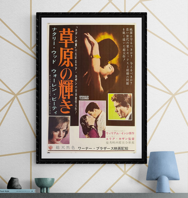 "Splendor in the Grass", Original Release Japanese Movie Poster 1961, B2 Size (51 x 73cm) M19