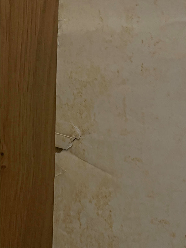 "Star Wars: Episode I – The Phantom Menace", Original Release Japanese Movie Poster 1999, RARE, Massive B1 Size