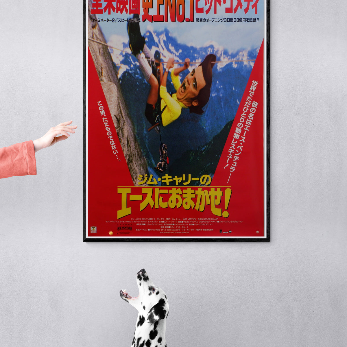 Ace Ventura: Pet Detective