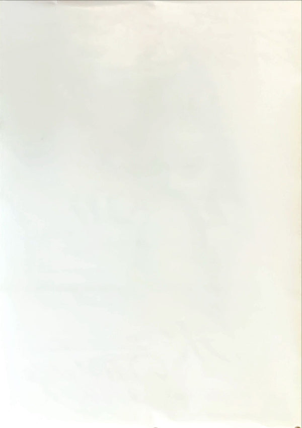 "Basic Instinct", Original Release Japanese Movie Poster 1992, B2 Size (51 x 73cm)