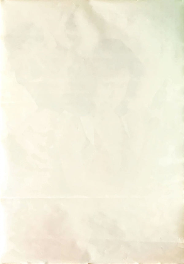 "Super Gun Lady: Police Branch 82" (Sûpâ gun redei Wani Bunsho), Original Japanese Movie Poster 1979, B2 Size (51 x 73cm)